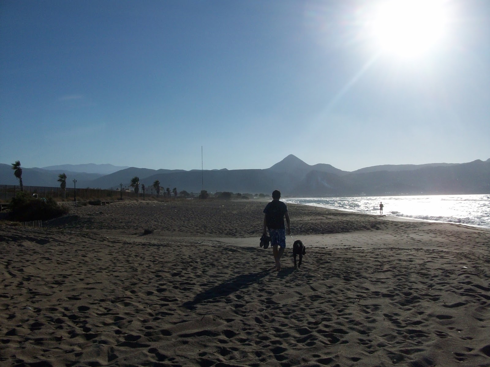 Travel Cyprus With Your Dog Flying... with your dog