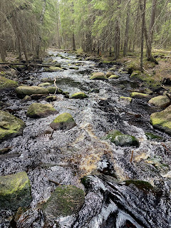 Liesijoki virtaa Seitsemisessä