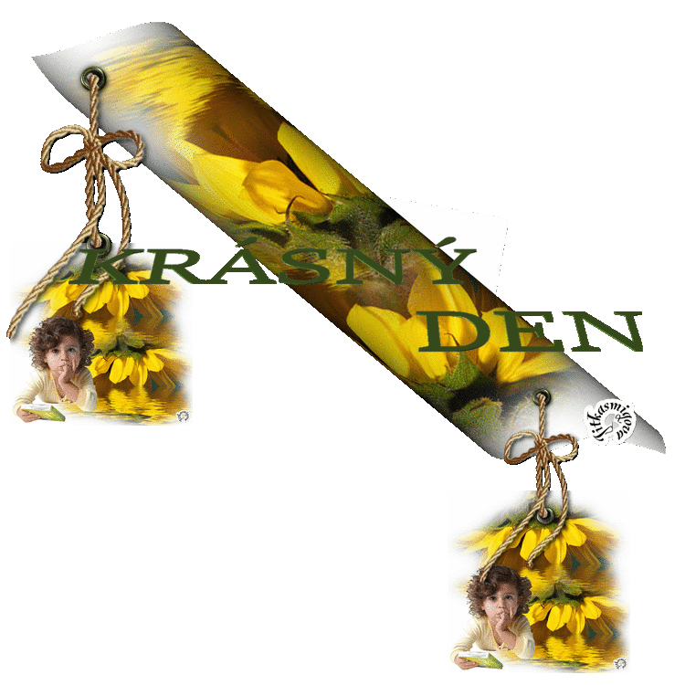 SLUN%2BHYB%2BP.gif%20