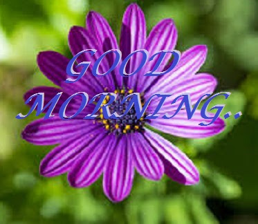 Good Morning Images With Flowers Good Morning Images With Flowers