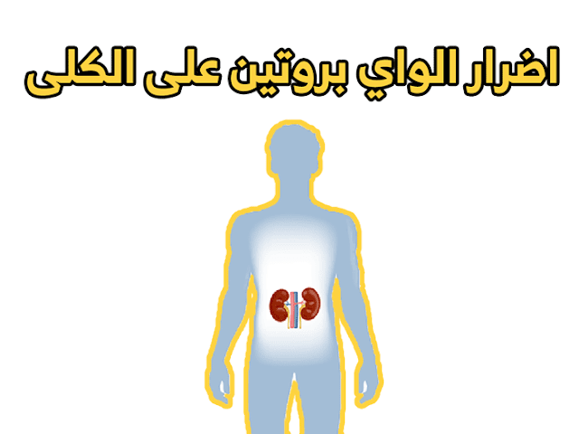 اضرار الواي بروتين على الكلى