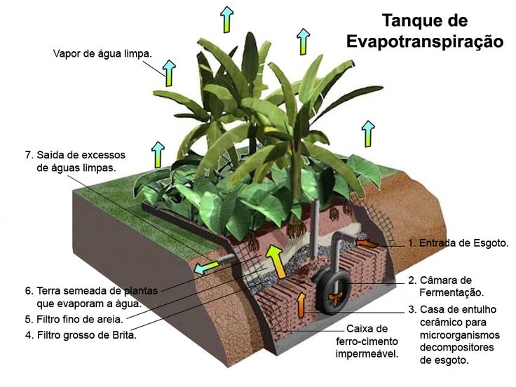 Eco avançar Entenda como funciona o tratamento de esgoto que pode ser feito em casa Eco avançar Entenda como funciona o tratamento de esgoto que pode ser feito em casa