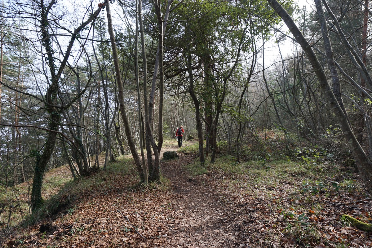 Trail descending from Plateau de Cabanelles