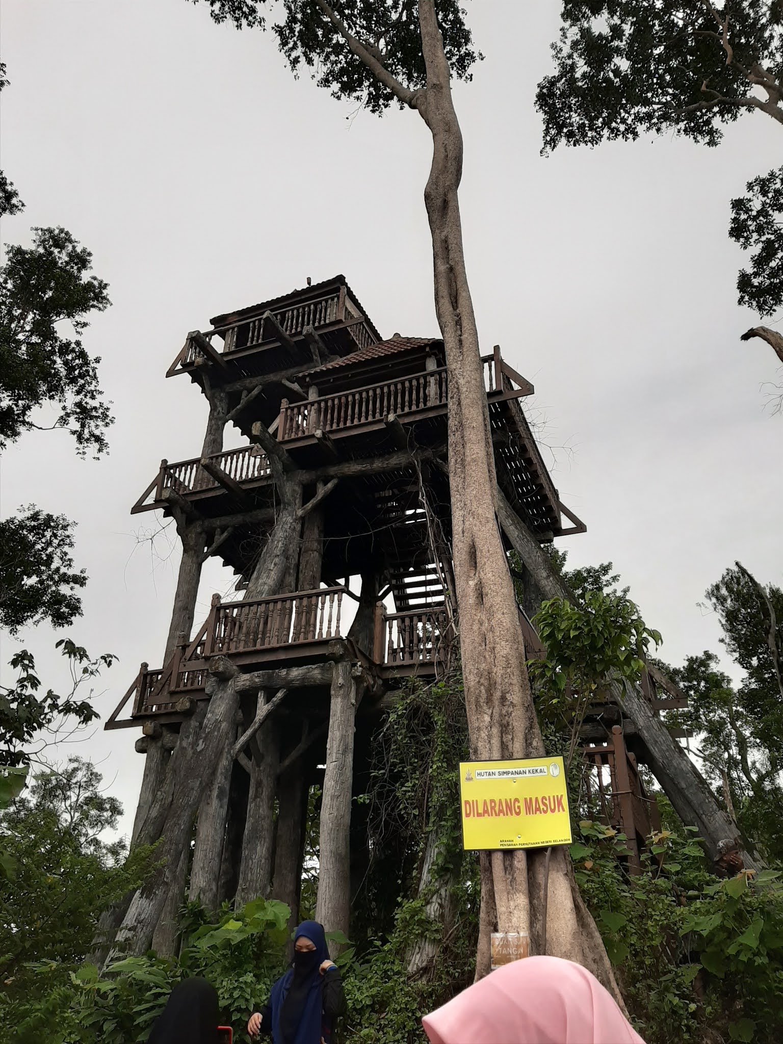 Tangan tower sapu bukit Pengalaman Mendaki