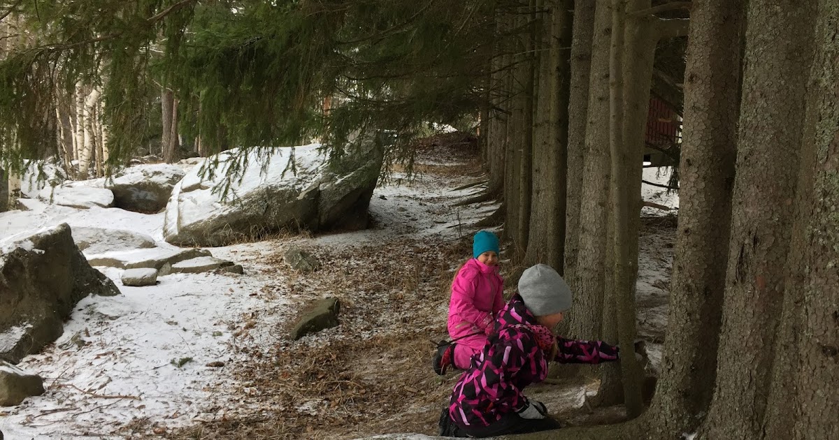 Aprendiendo de una educación modelo: Hora del patio