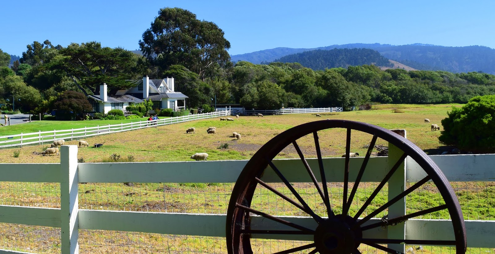 Carmel by the Sea Mission Ranch, Mission Trails Park, Mission Basilica