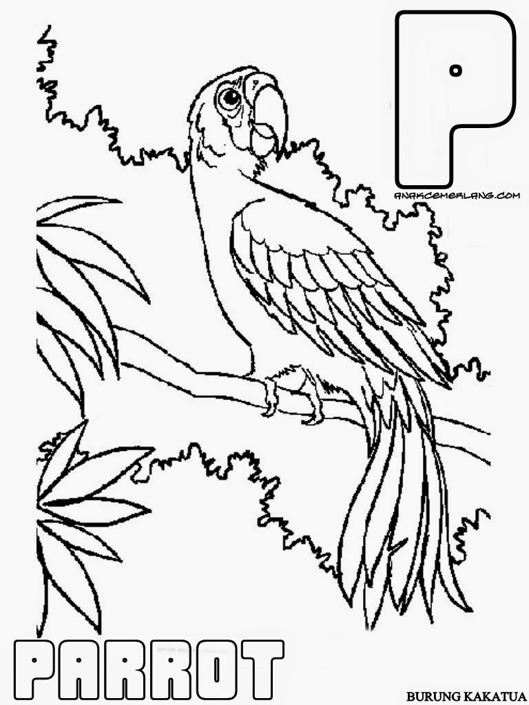 51+ Kekinian Nama Hewan Dari Huruf C Bahasa Indonesia