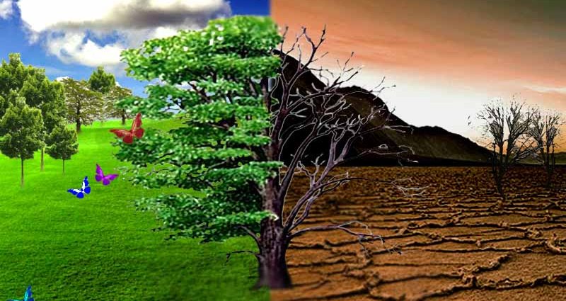 Konsep Keseimbangan Lingkungan Biologi Kelas X Sma Ma Ipa Biologine Pak Mycunk