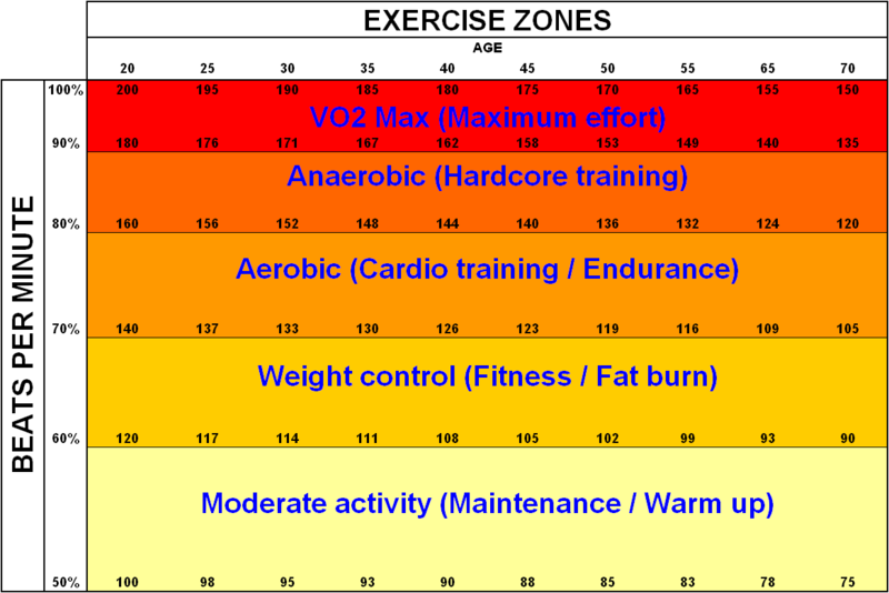 Vital Sign Heart Rate Pulse Rate vital-sign-heart-rate-pulse-rate