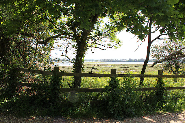 green-lush-and-awesome-todaymyway