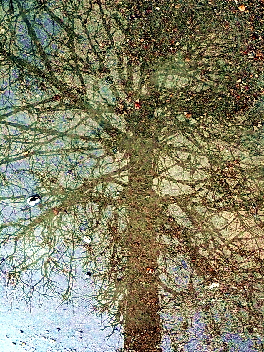 «Le corps grandit en prenant de