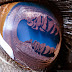 Quite distinct macro eye