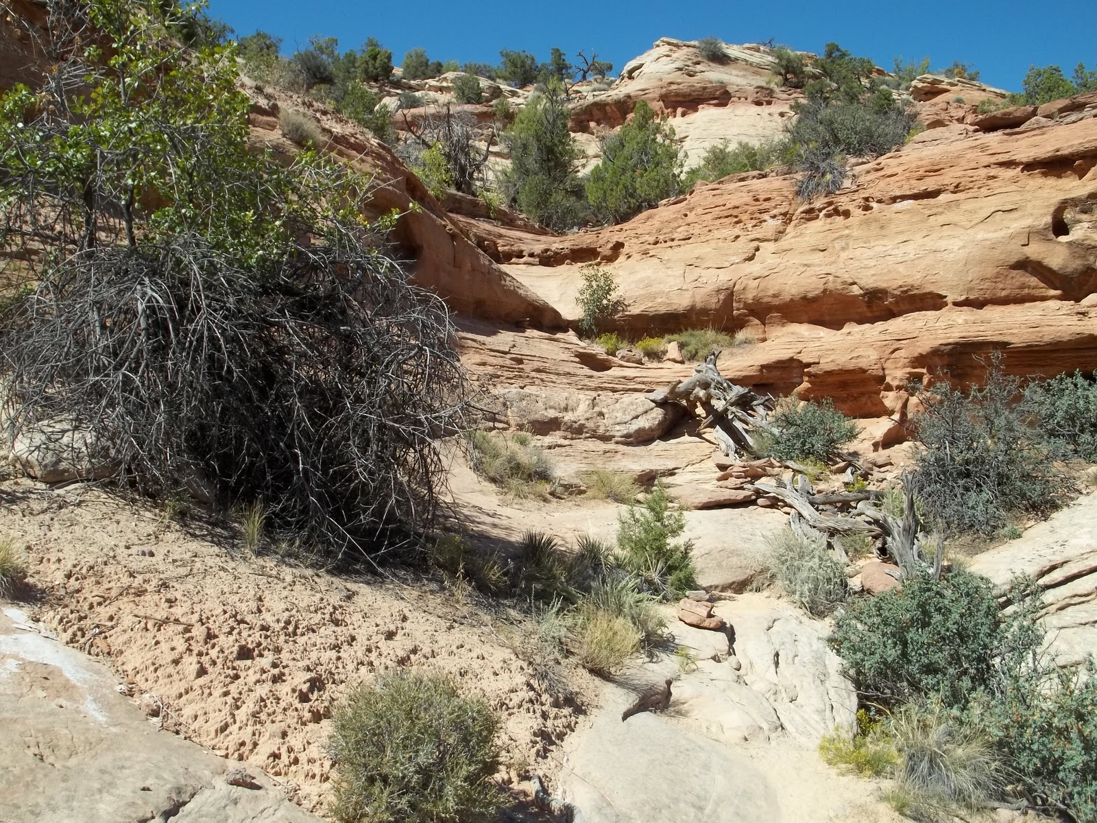 gjhikes.com: Neck Spring