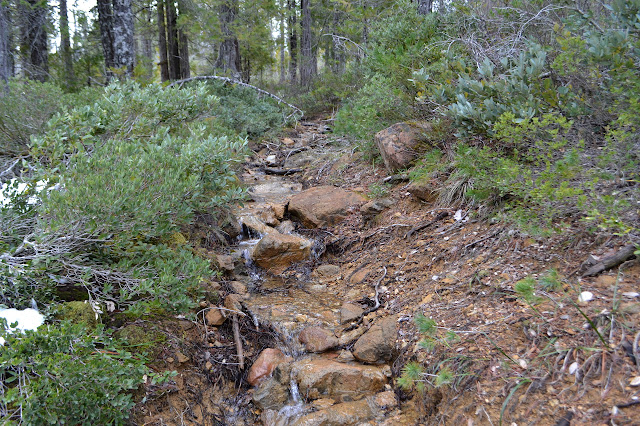 trail near Cold Spring