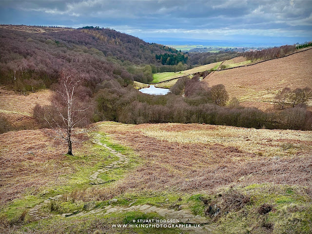 Osmotherley walk Cleveland Way Square Corner Yorkshire walks