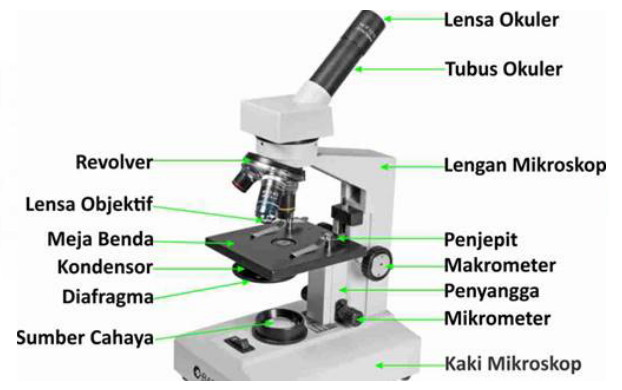 Mengenal Mikroskop Dan Penggunaannya Santos Blog