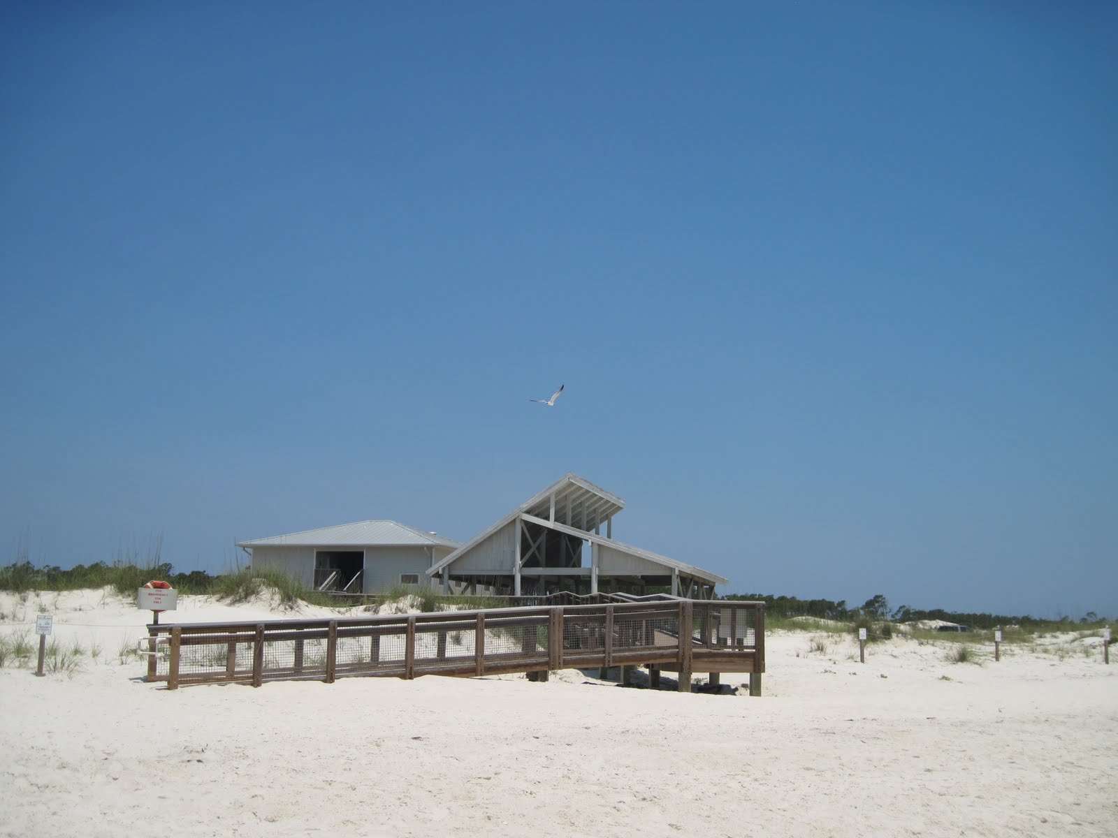 Spring Trip 2011 St. Island State Park, St. Florida