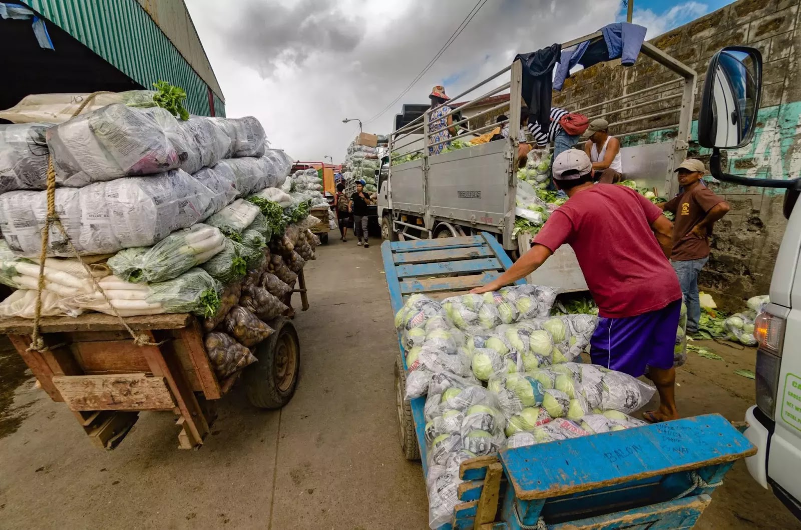 Vegetable Porters La Trinidad Benguet & Baguio City
