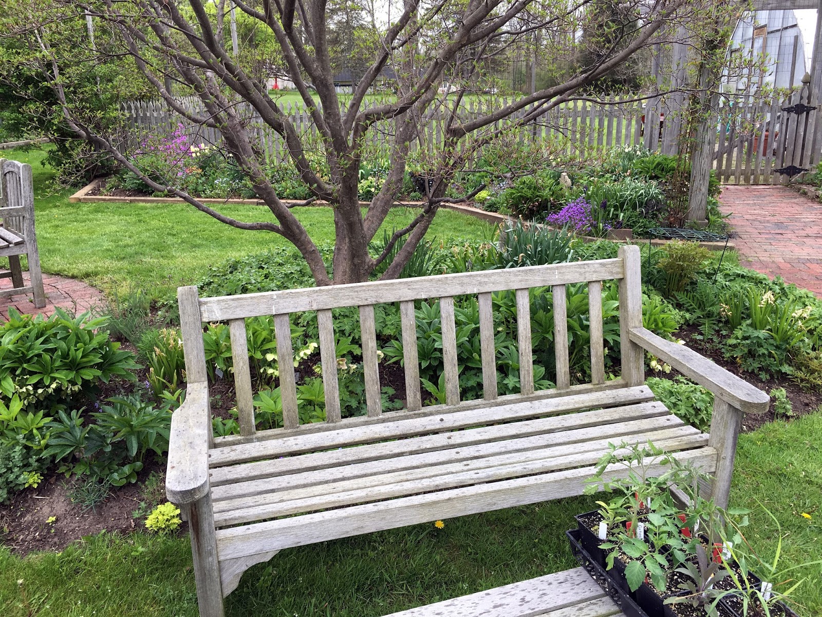 DeCampStudio Jane's Herb Farm