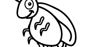 The Roaches Are Here