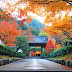 Cities should come when traveling to Japan in the fall