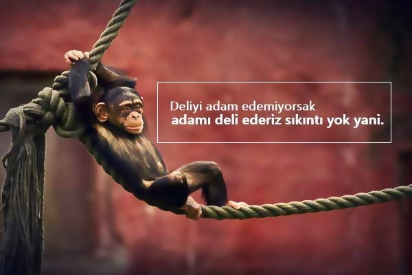 Deli Dolu Sözler Deli Dolu Sözler