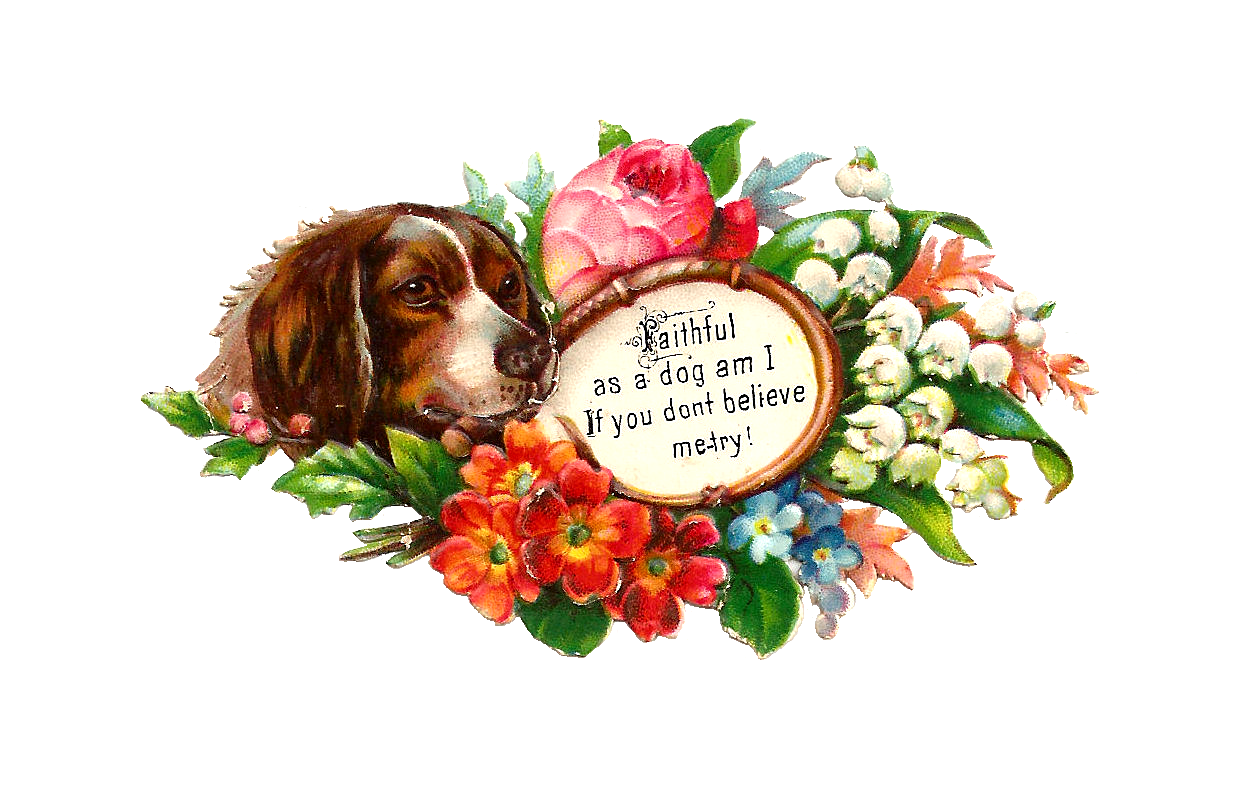 thank you dog clipart - photo #12
