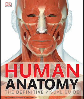 Human Anatomy Human Anatomy
