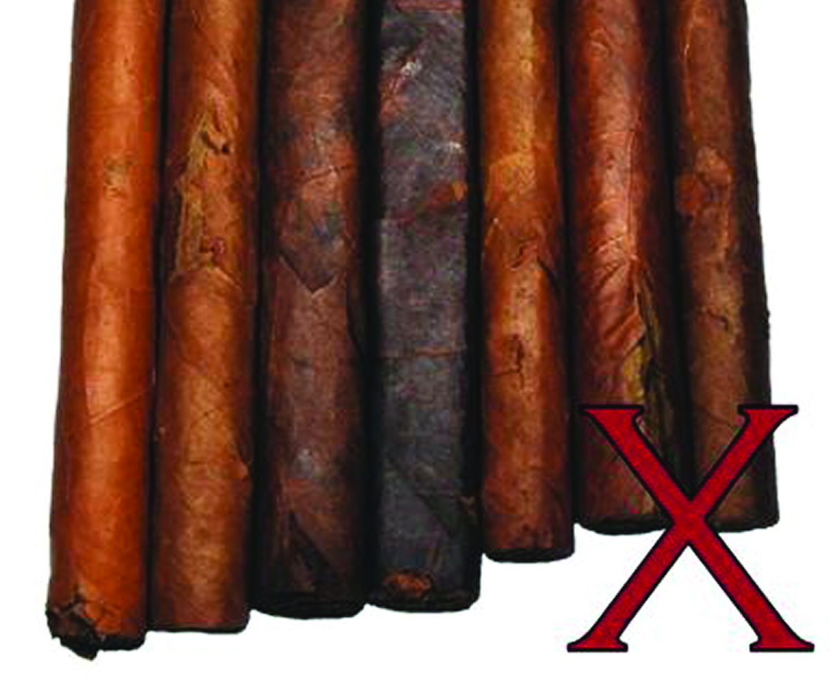 Tobacconist University The Tragic Tobacco Trifecta Of Loss Beetles