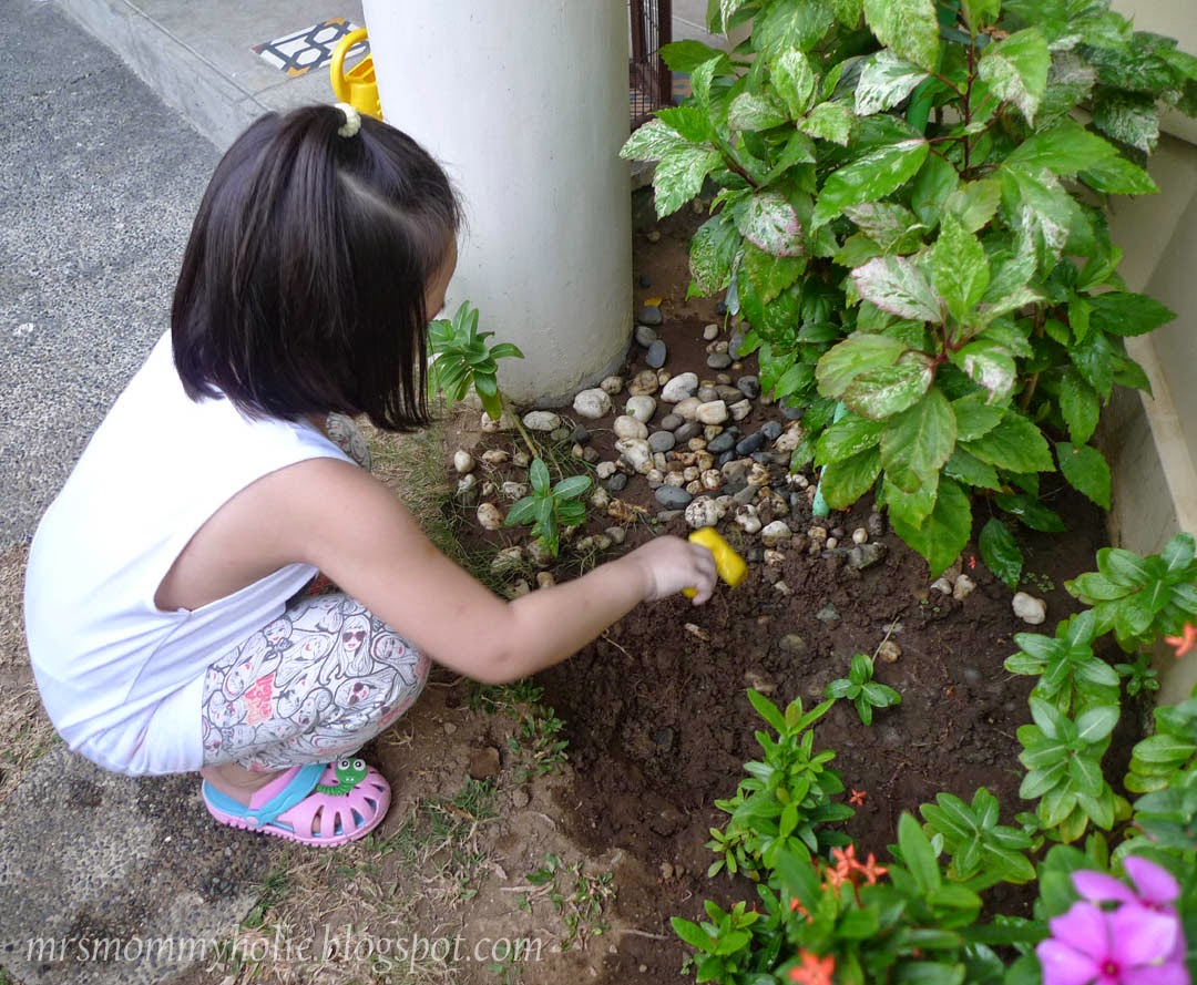 MrsMommyHolic Our monggo plant