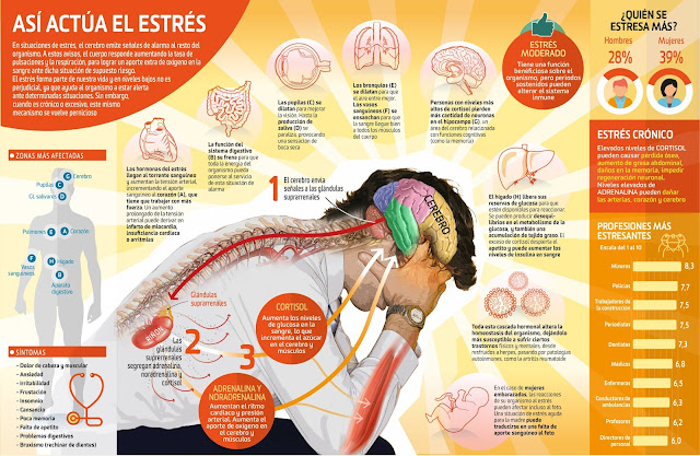 los efectos del estres en el cuerpo