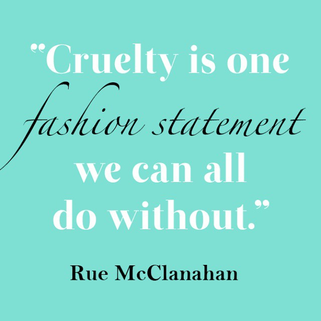 Going Cruelty-Free | Beauty From Katie