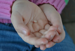 tooth another found cute under pretty