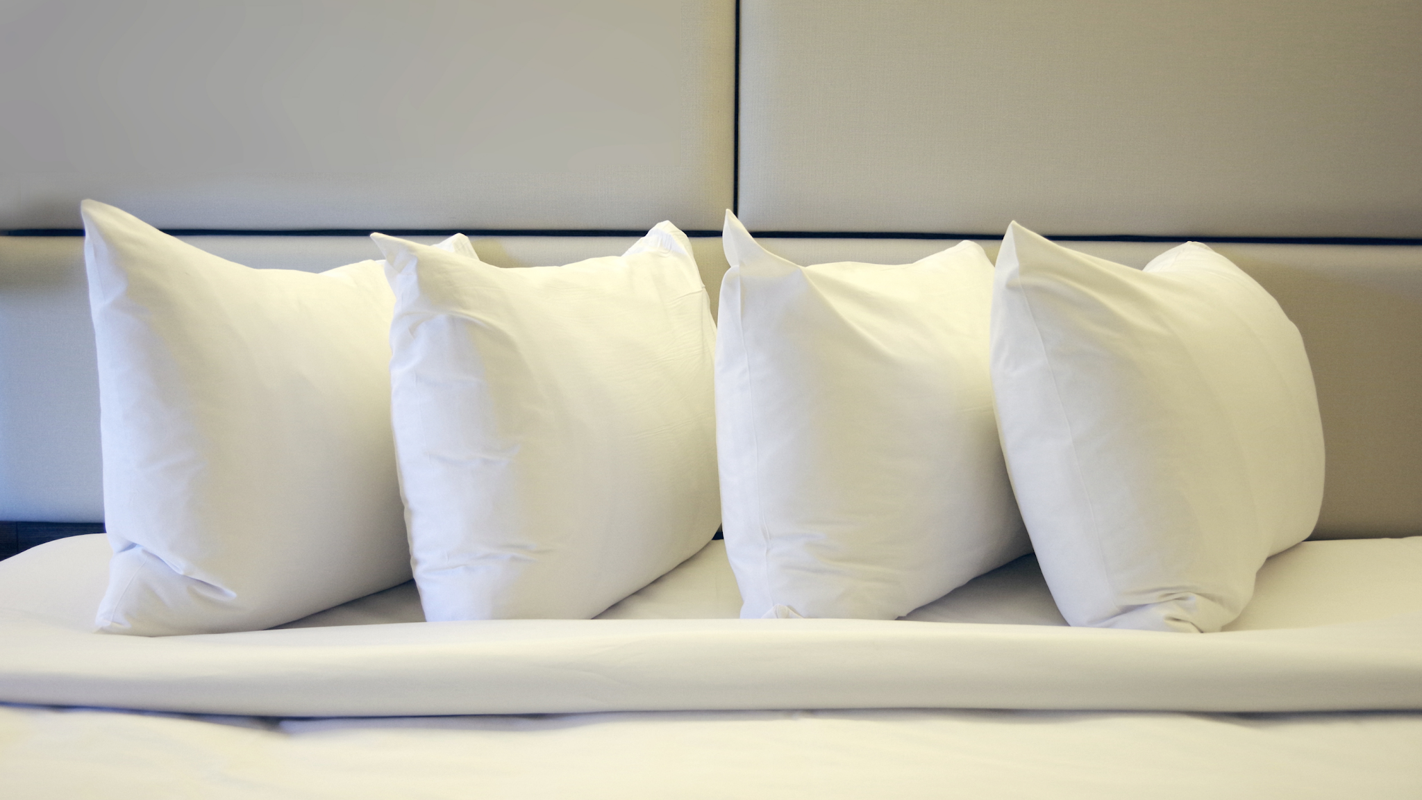 hotel type pillows