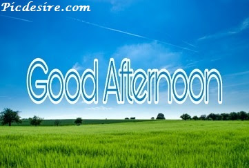 Best 50 Good Afternoon Images 2020 || Good Afternoon Images for Whatsapp Best 50 Good Afternoon Images 2020 || Good Afternoon Images for Whatsapp