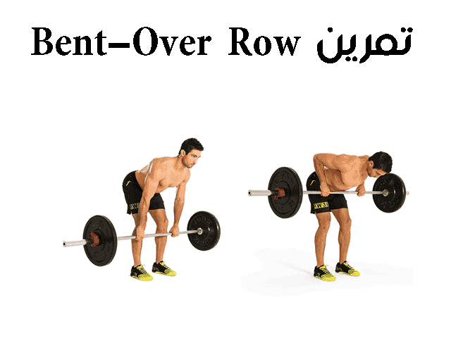 تمارين الظهر بالترتيب بالصور