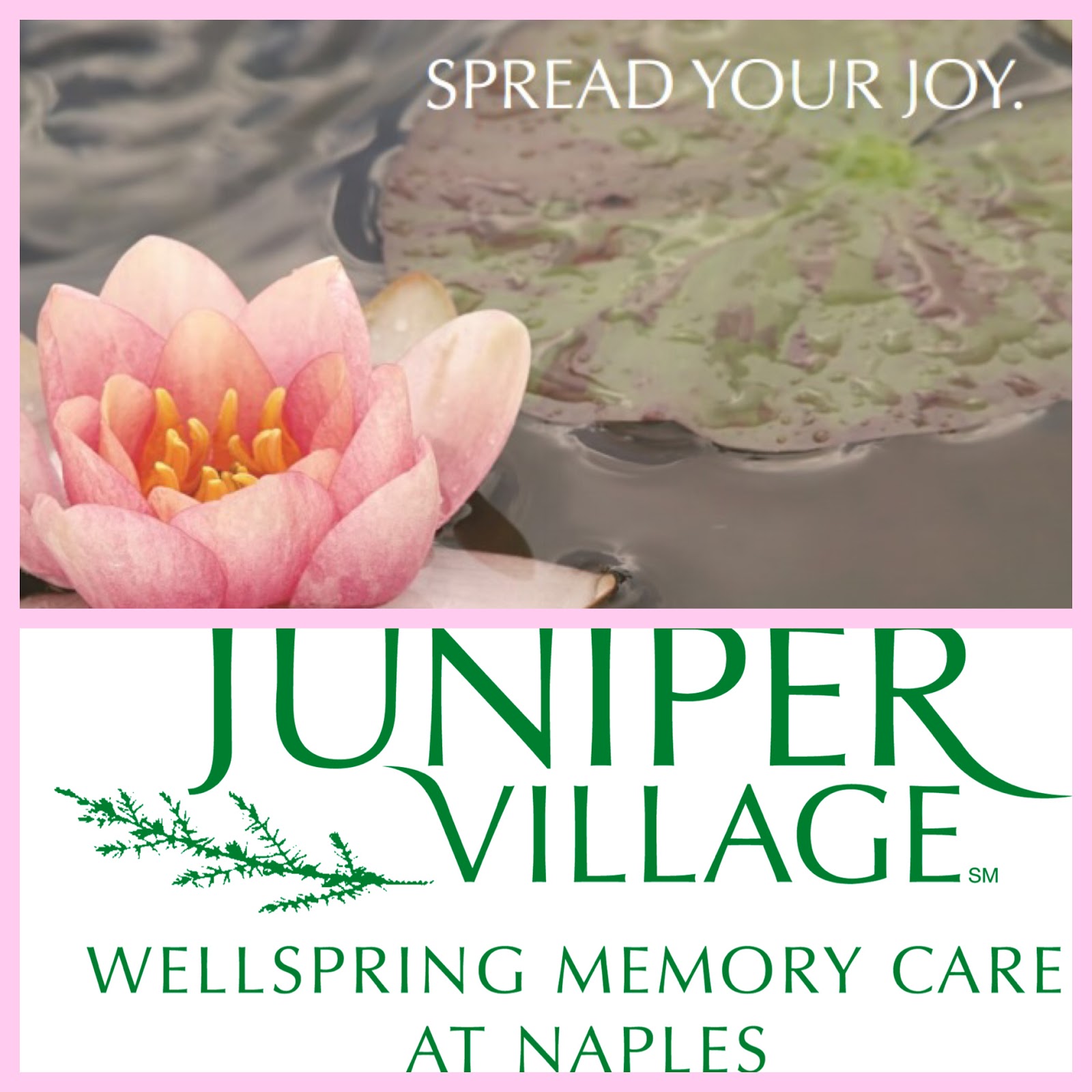 Juniper Village At Naples September 2015 Events In Naples FL Spread juniper-village-at-naples-september-2015-events-in-naples-fl-spread