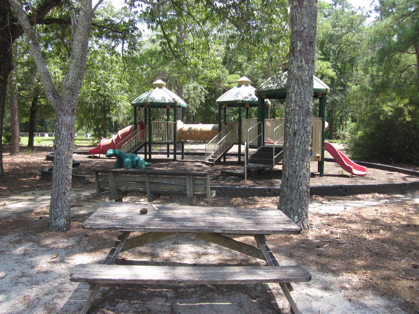 Love 2 Travel With Kids Lynches River County Park and Canopy Walk in