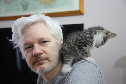 Free Assange