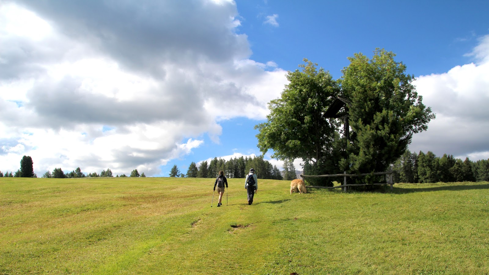 Alpe di Siusi Ai rifugi Alpe