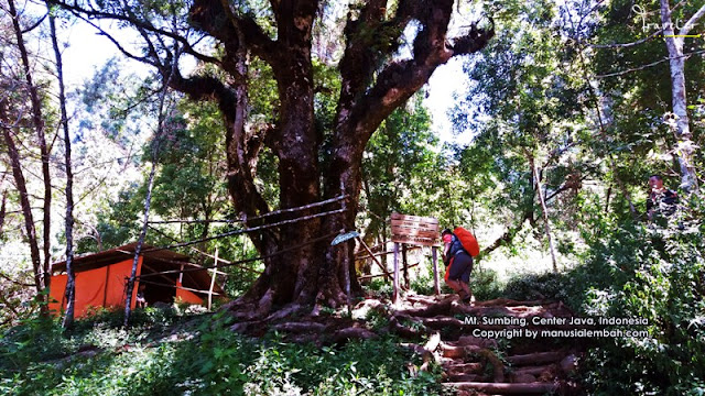 Pendakian Gunung Sumbing via Banaran