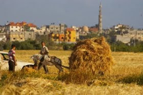 ISRAEL RECIBE CON DISPAROS A LA DELEGACIÓN ESPAÑOLA EN GAZA.