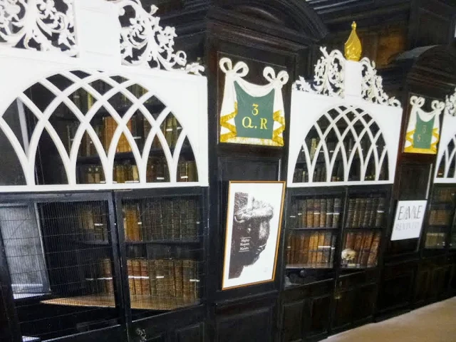 Dublin Hidden Places: Marsh's Library