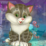 Play Games4King -  G4K Graceful Kitten Escape Game