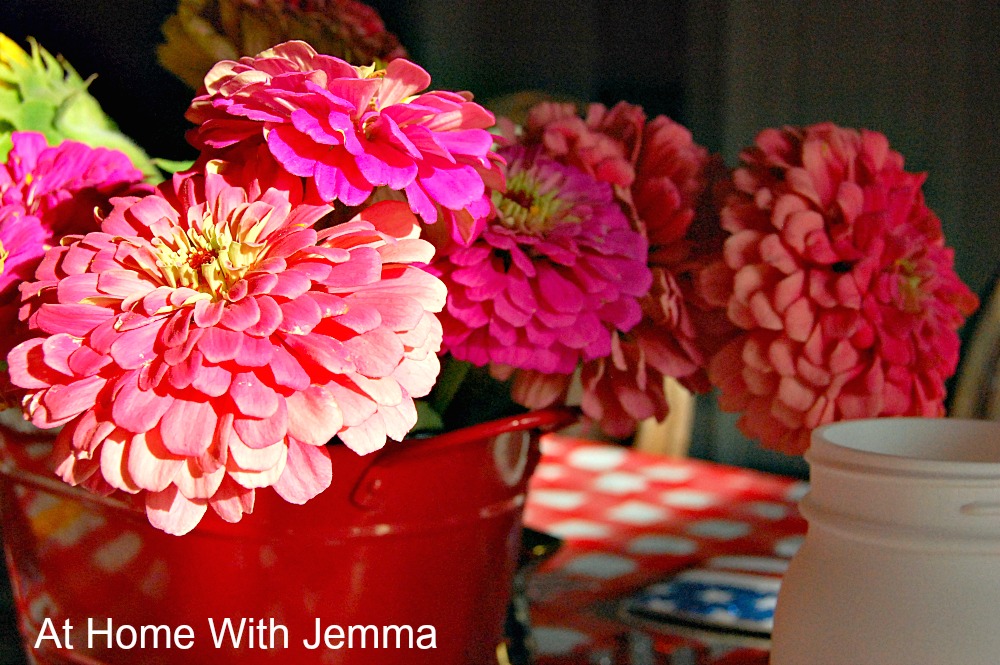 What A Wonderful Life Hydrangea Days