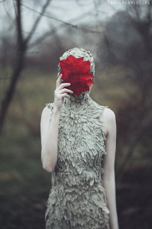 As fotografias fantásticas, surreais e fashion de Pawel Adamiec Pawel Totoro Adamiec deviantart fotografia surreal fantasia fashion modelos sombrio sonhos contos de fada