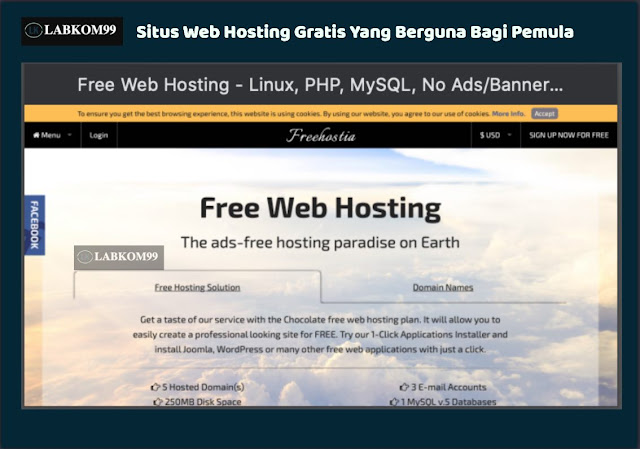 Situs Web Hosting Gratis Yang Berguna Bagi Pemula