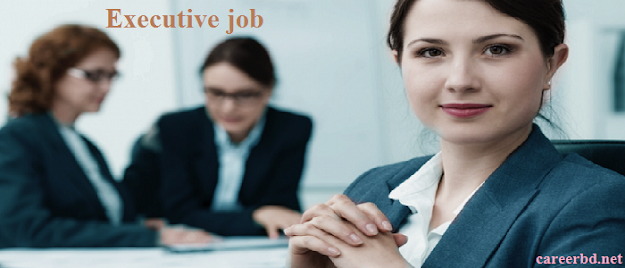 Executive job Executive job
