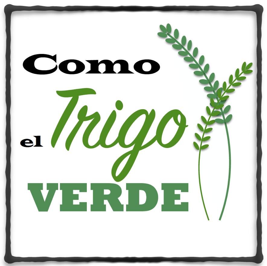 NUESTRO PROYECTO DE ALIMENTOS A PARTIR DE BROTES Y GERMINADOS...