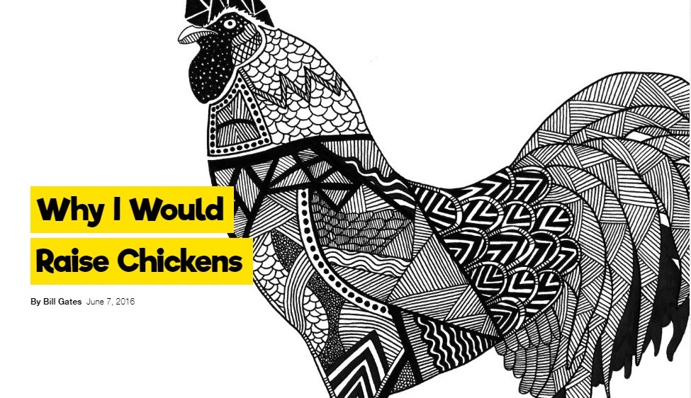 Pesan Bill Gates ayo beternak ayam agar tidak miskin Elinotes review
